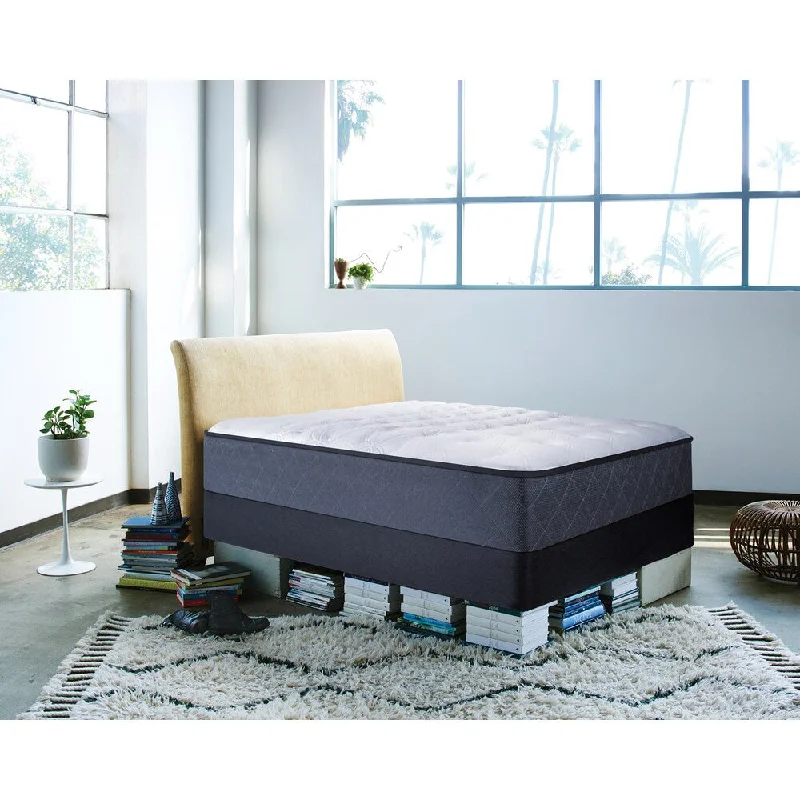 Sealy Posturepedic Happy Canyon Firm Twin-size Mattress