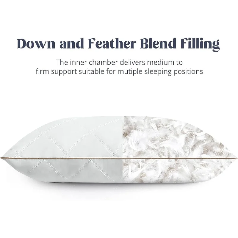 Goose Feathers and Down Pillow,Pack of 2