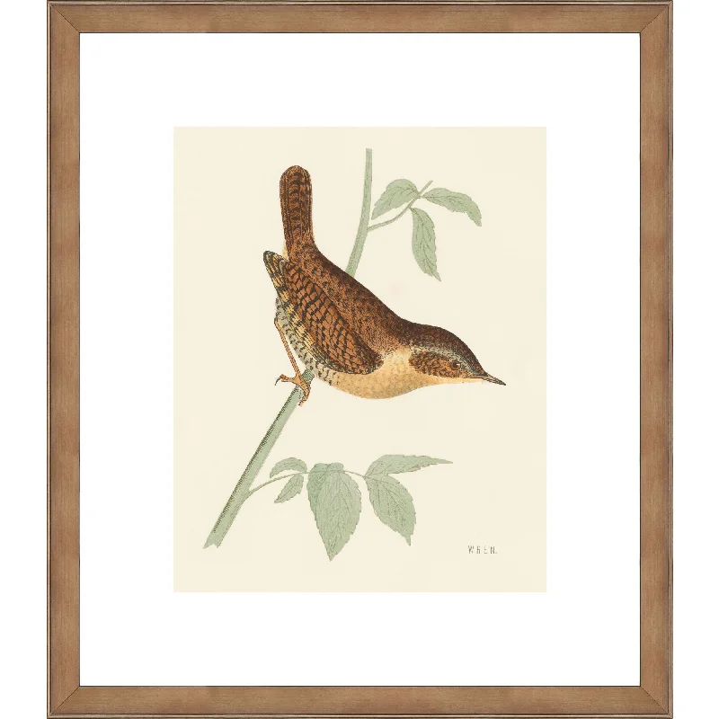 Engraved Birds I Wall Art 14.00" x 16.00"