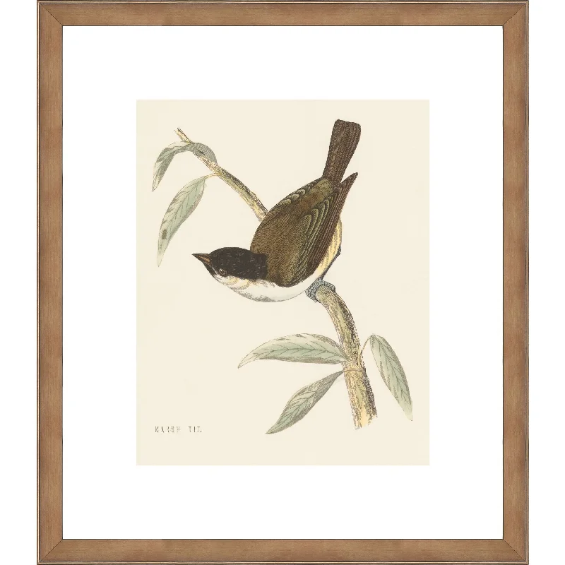 Engraved Birds II Wall Art 14.00" x 16.00"