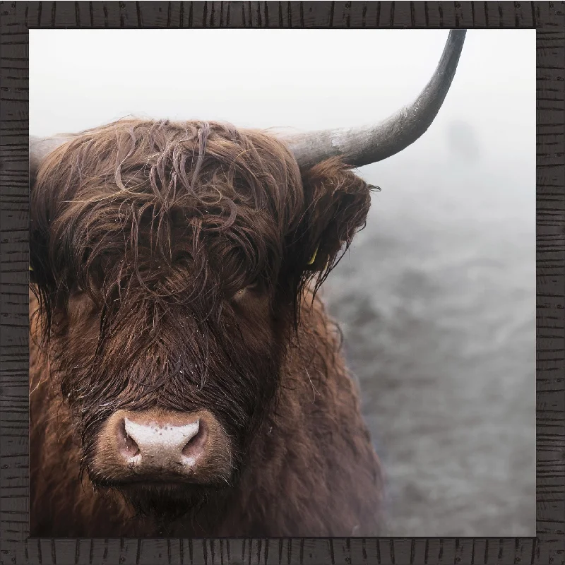 Highland Cow Wall Art 20.00" x 20.00"