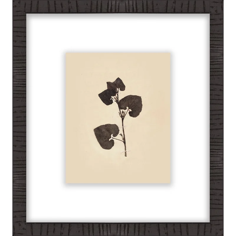 Botanical III Wall Art 16.00" x 18.00"