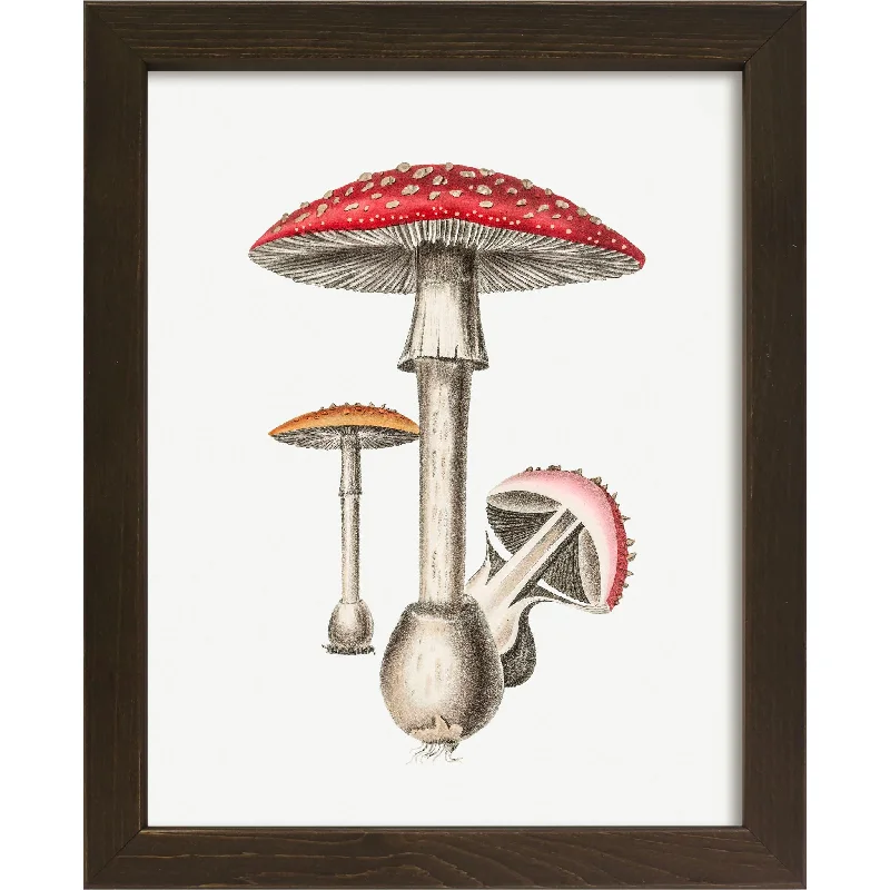 Mushroom I Wall Art 9.00" x 11.00"