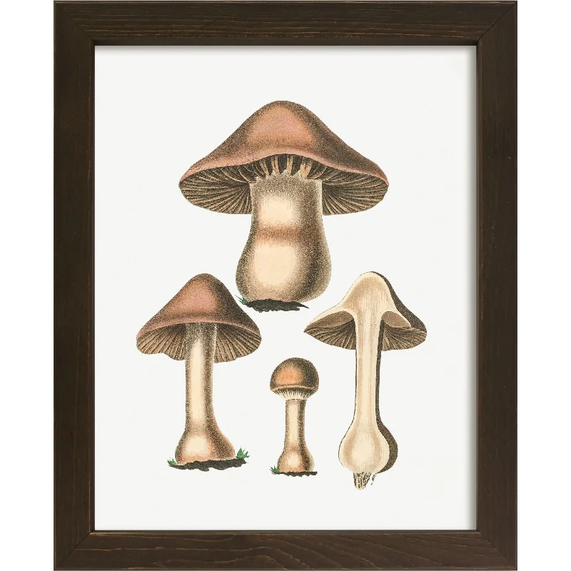 Mushroom II Wall Art 9.00" x 11.00"