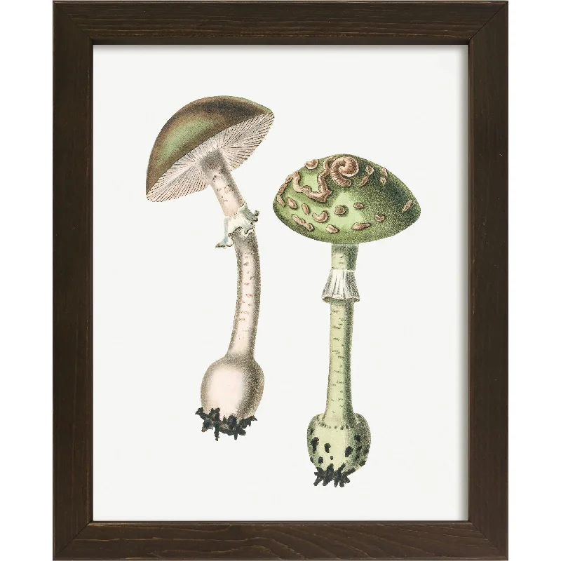 Mushroom III Wall Art 9.00" x 11.00"