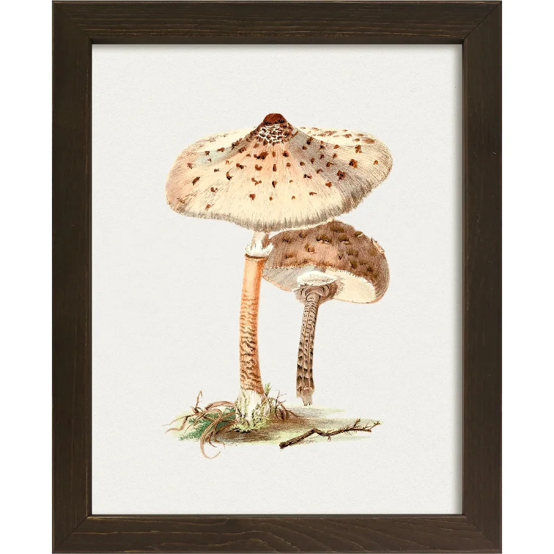 Mushroom IV Wall Art 9.00" x 11.00"