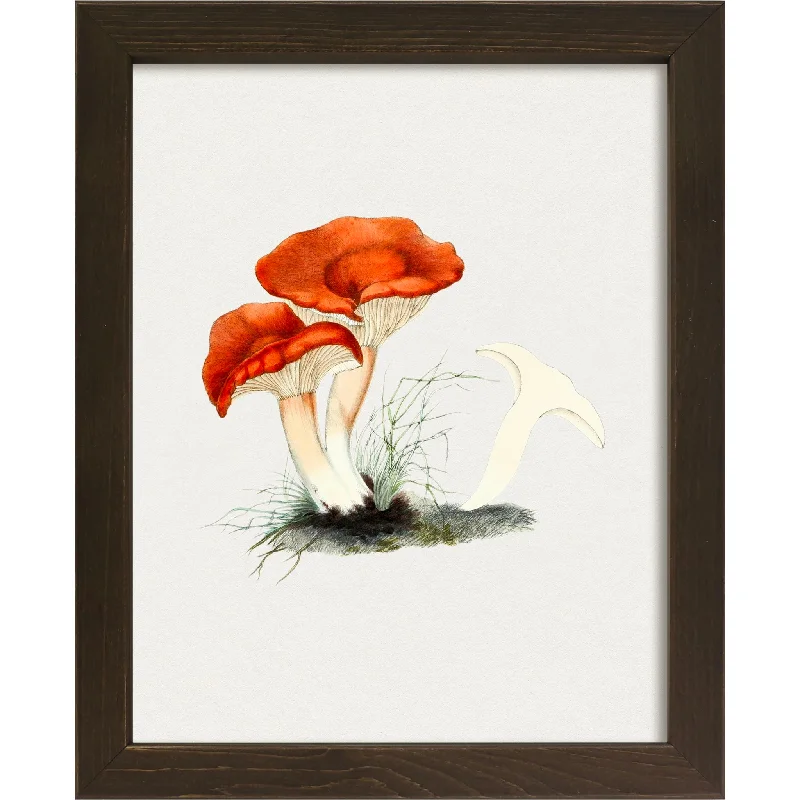 Mushroom V Wall Art 9.00" x 11.00"