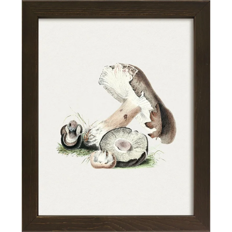 Mushroom VI Wall Art 9.00" x 11.00"