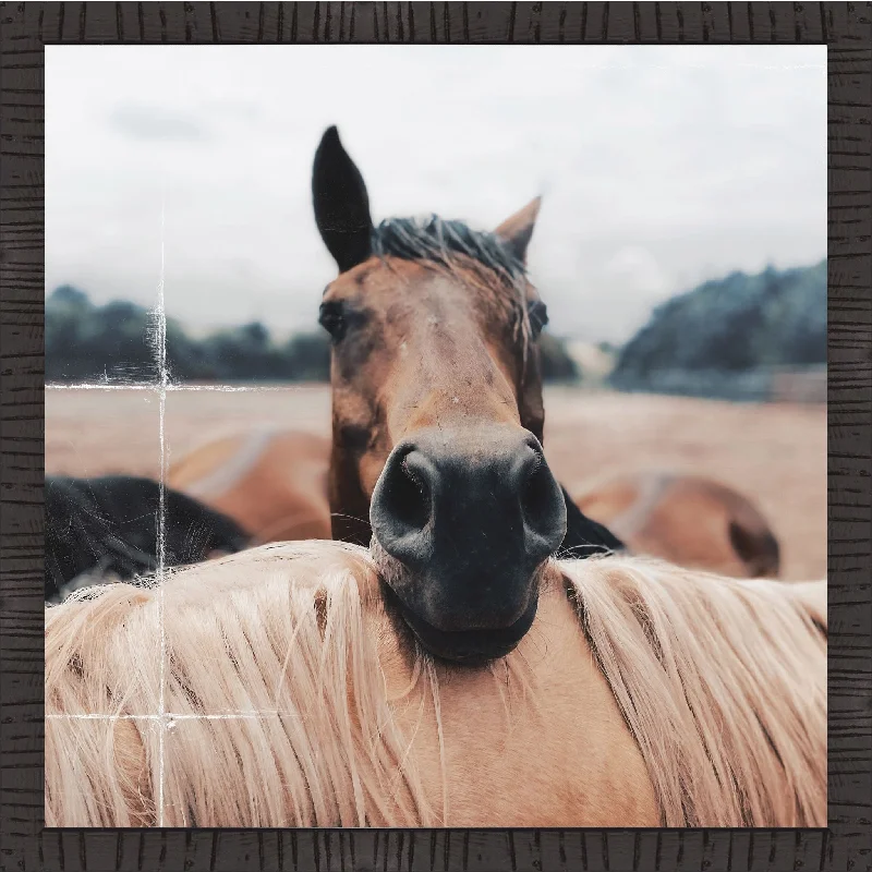 Quirky Horse Wall Art 20.00" x 20.00"