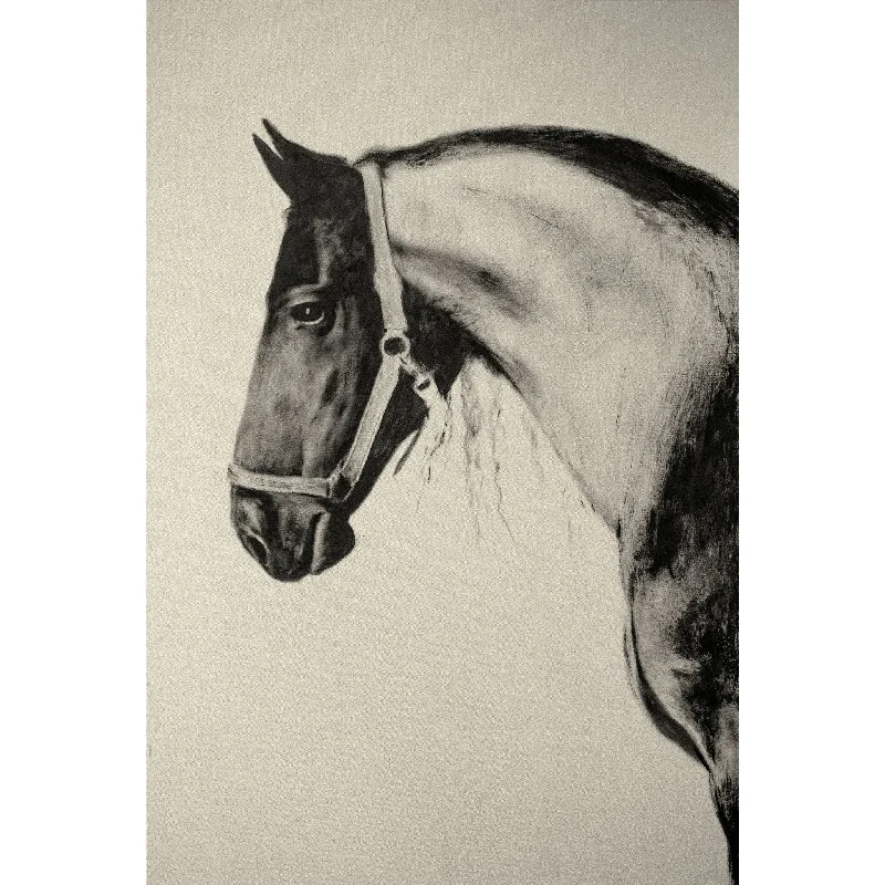 Stallion Canvas 40.00" x 50.00"