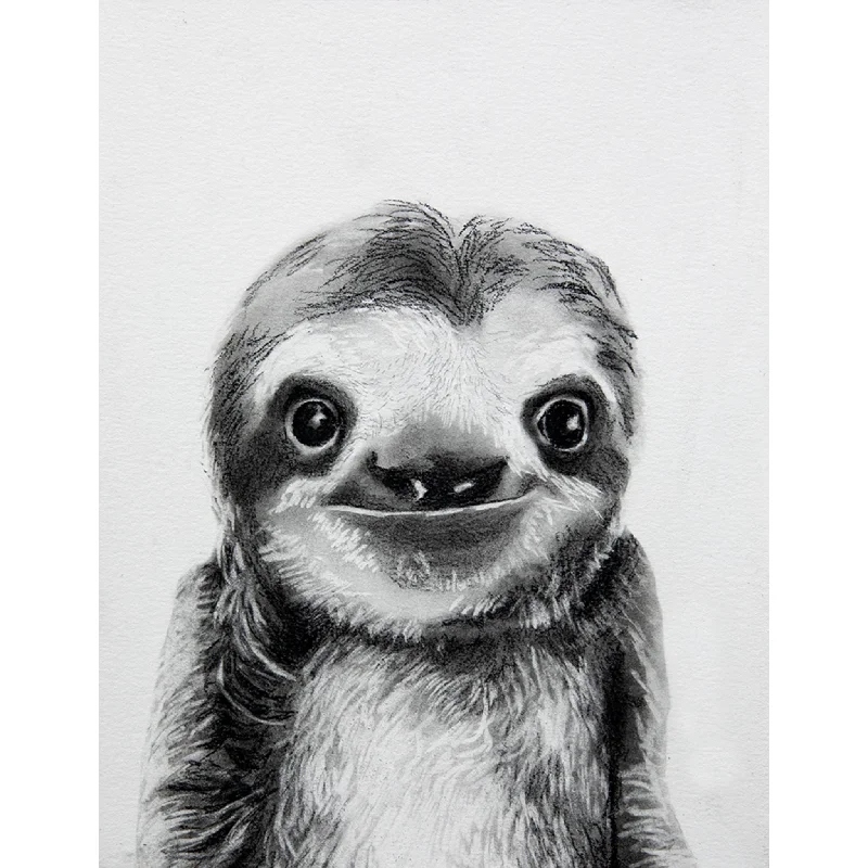 Sylvester Sloth Canvas 30.00" x 40.00"