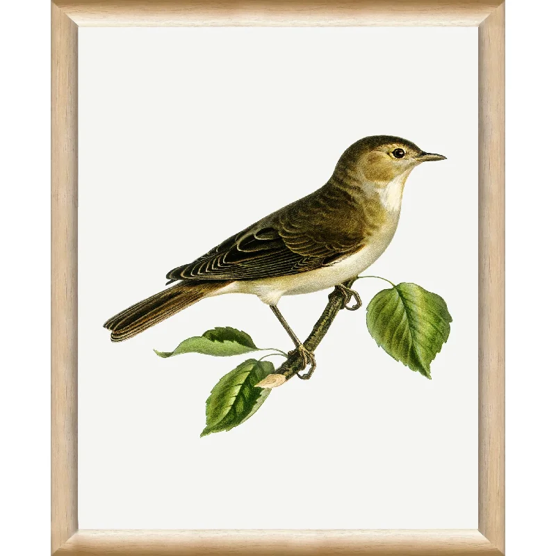 Vintage Bird I Wall Art 9.00" x 11.00"