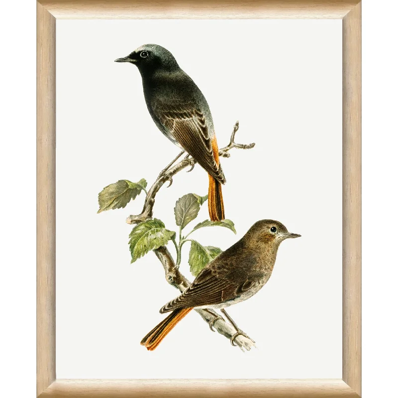 Vintage Bird II Wall Art 9.00" x 11.00"