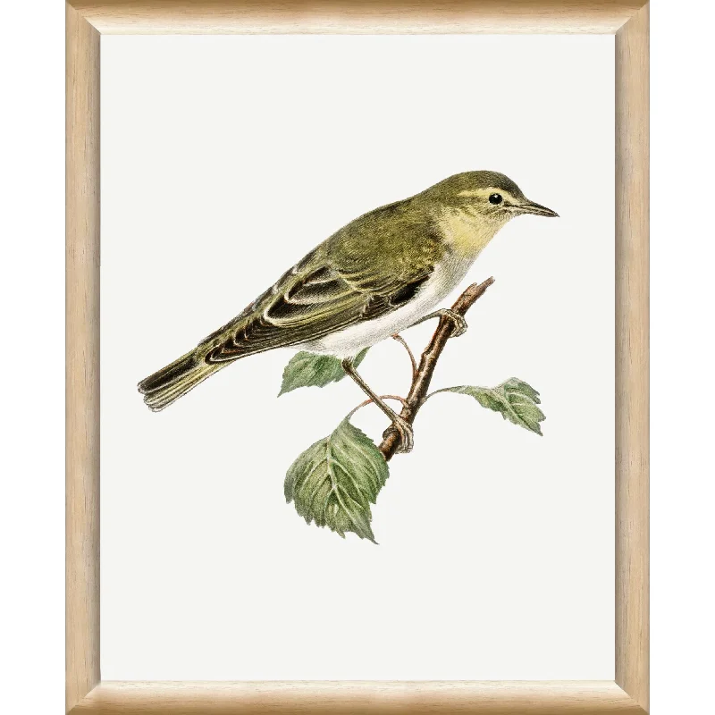 Vintage Bird III Wall Art 9.00" x 11.00"