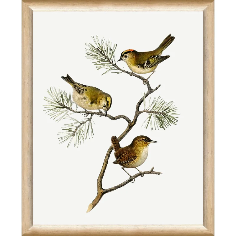 Vintage Bird V Wall Art 9.00" x 11.00"